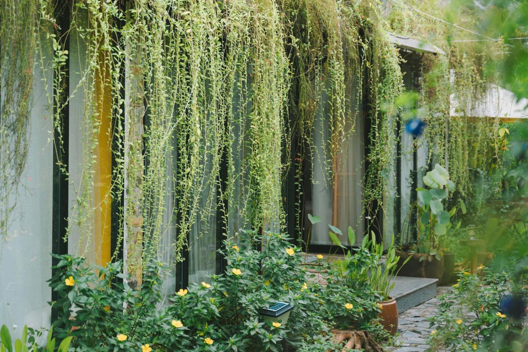 Ben Do Xua Homestay & Coffee Cai Rang Екстер'єр фото
