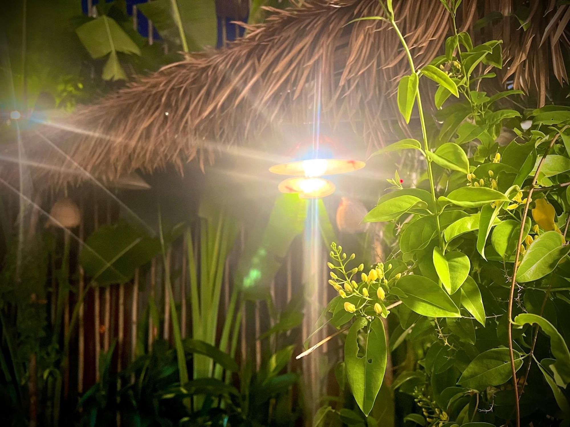 Ben Do Xua Homestay & Coffee Cai Rang Екстер'єр фото