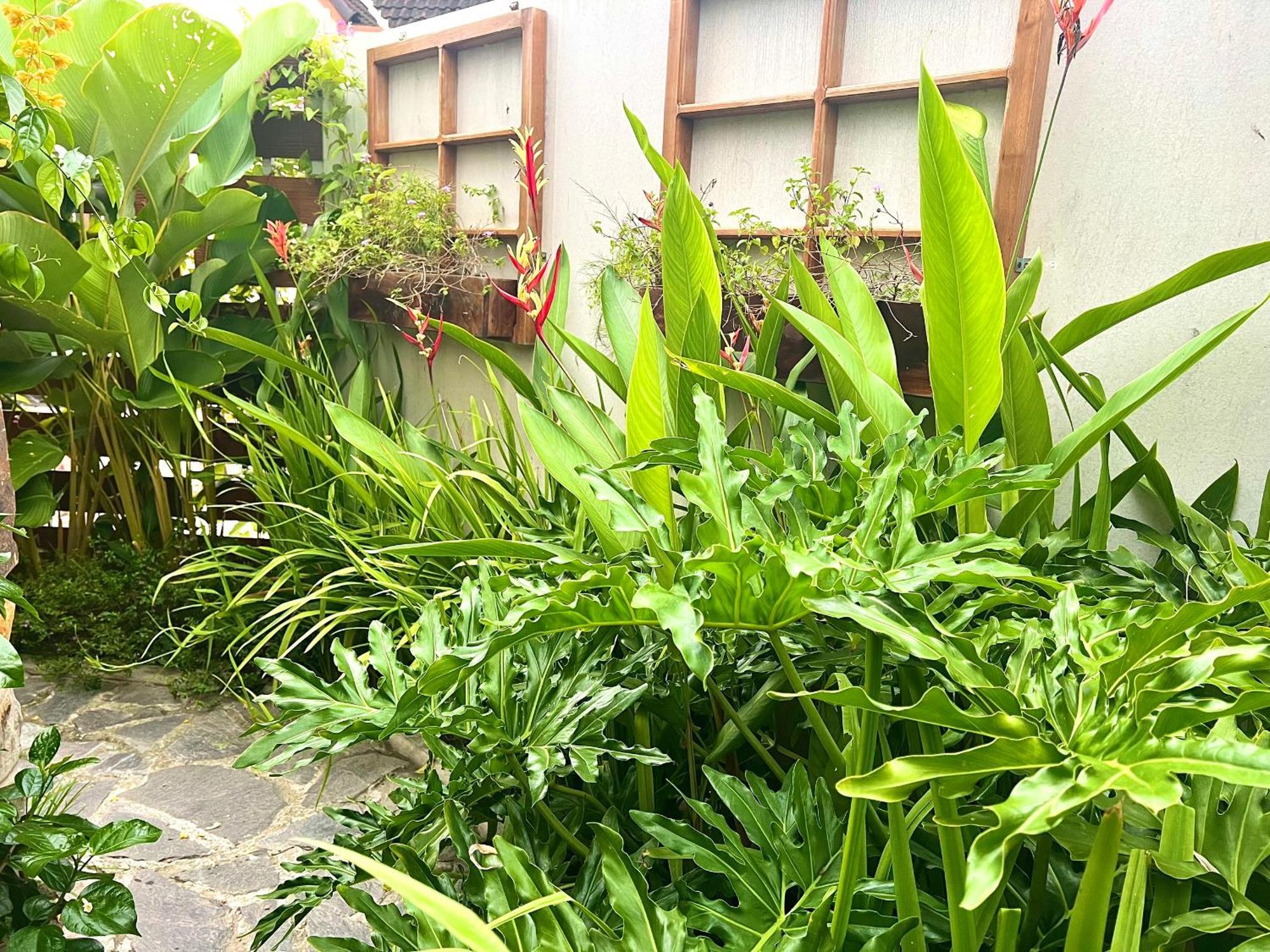 Ben Do Xua Homestay & Coffee Cai Rang Екстер'єр фото